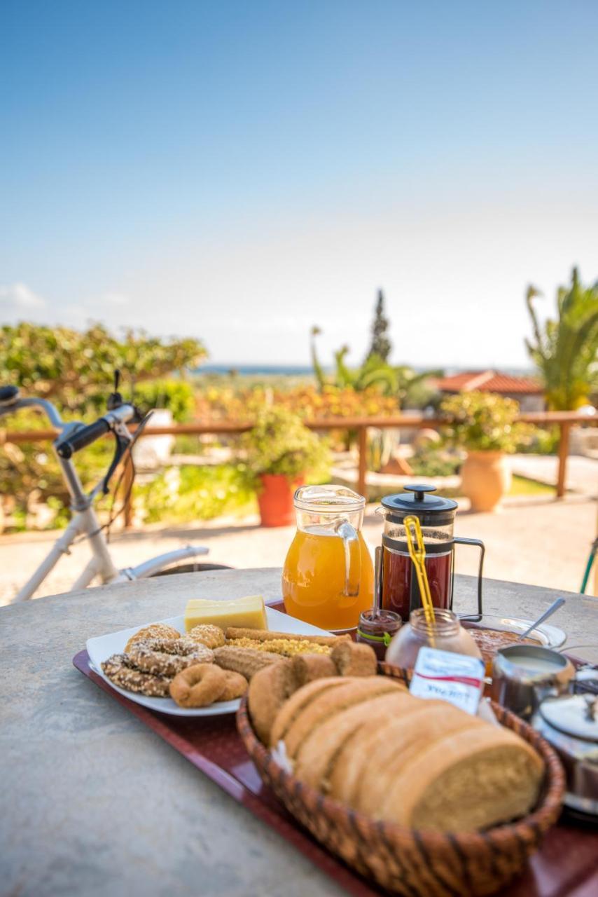 Faros Apartments Xerokampos  Dış mekan fotoğraf